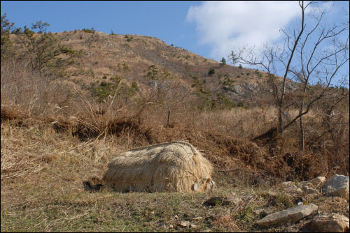 멀리서 본 황씨초분 